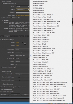 Adobe Media Encoder CC картинка №33